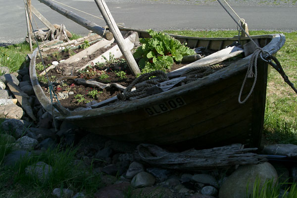 Plantering i båt