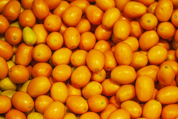 Kumquat