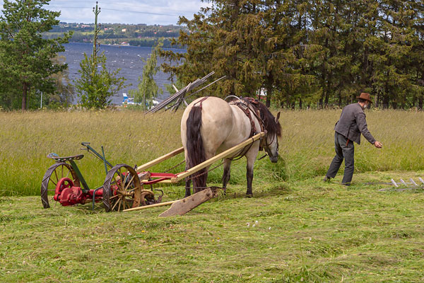 Slåtter